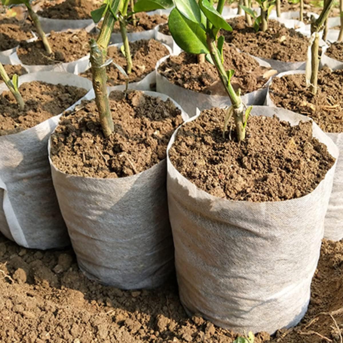 gardtree Plant Nursery Bags 4.7 * 5.5 inches 200PCS, Non-Woven Plant Grow Bags Fabric Seedling Starter for Vegetable Flower Fruit Saplings Tree, Home Garden Supply