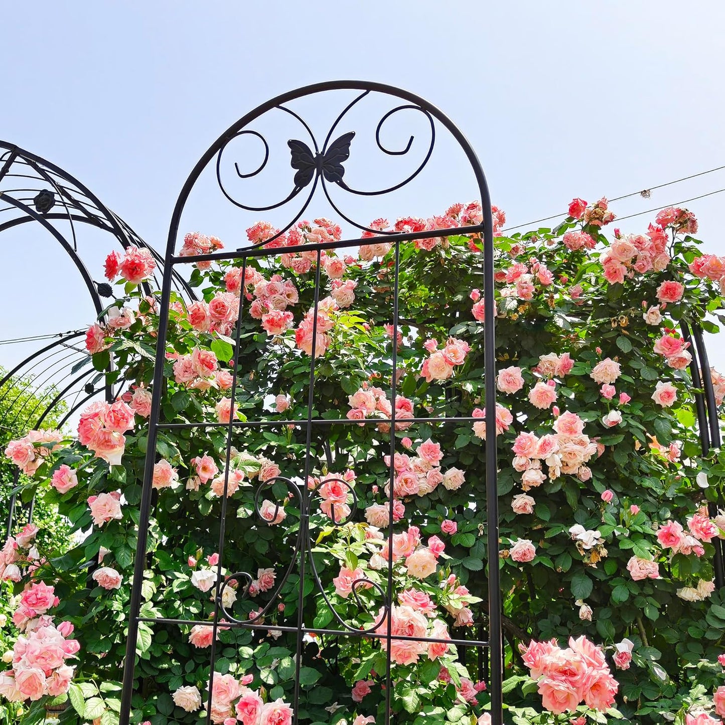 2 Pack Garden Trellises with Black Metal Coating, Trellis for Climbing Plants Outdoor, Roses, Vegetables, Vines, Cucumbers-19.7×86.7 inches.