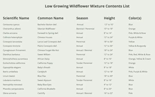 Wildflower Seeds Low Growing 2 Ounce Heirloom Bulk Pack