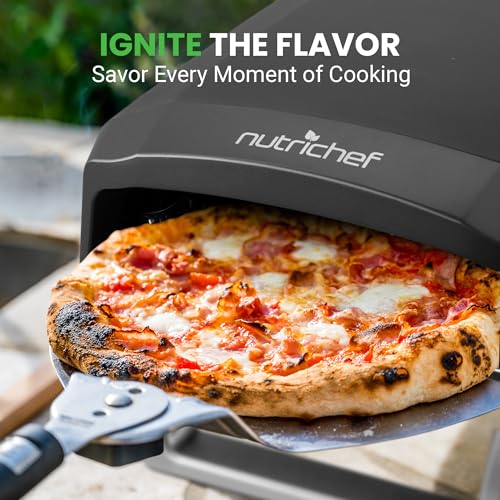 Portable Outdoor Gas Pizza Oven