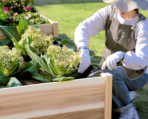 Double Layer Raised Garden Bed