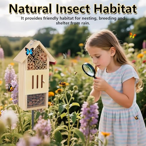 Wooden Insect House