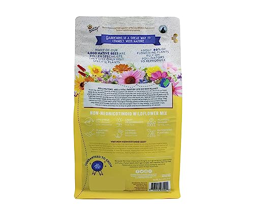 Seeds Wildflower Pollinator Seed Mix