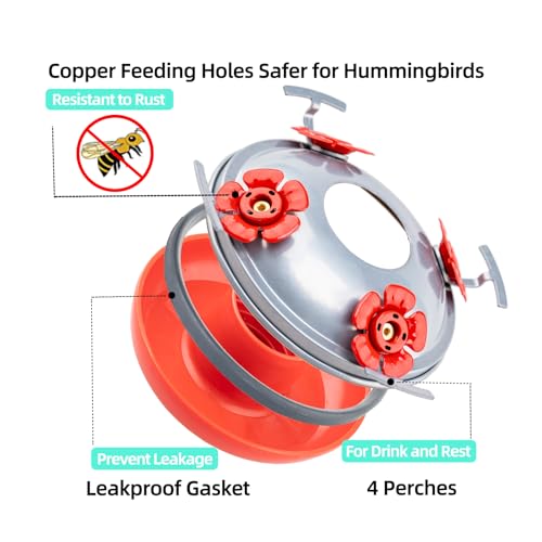 Hummingbird Feeders for Outdoors Hanging