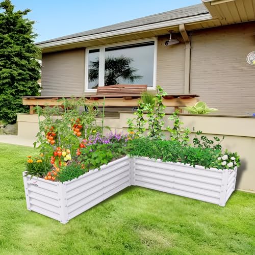 Anleolife 8 Bed 4ft Round & 74x74in L (8 Count)