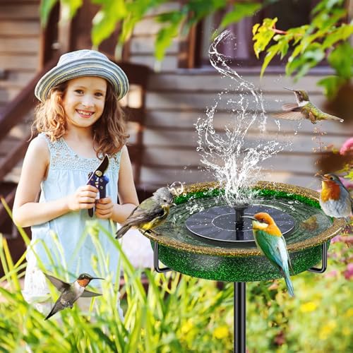 Birdbaths for Outdoors