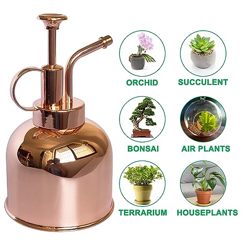 Plant Mister Spray Bottle Stainless Steel Plant Sprayer