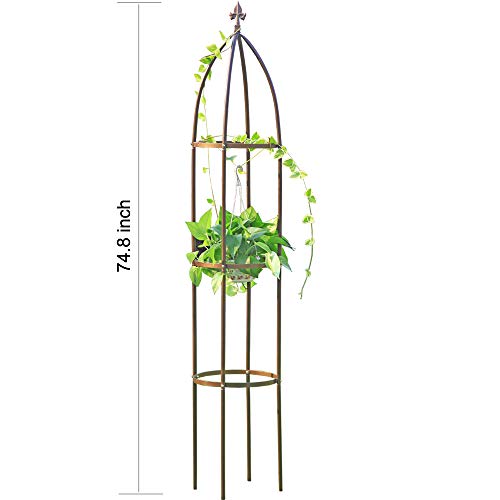 100% Metal Garden Obelisk Trellis Heavy Duty 6.3 ft Tall for Climbing Vines