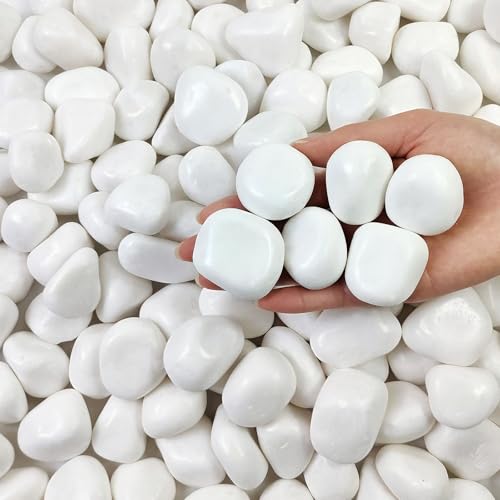 10 lbs White River Rocks for Plants