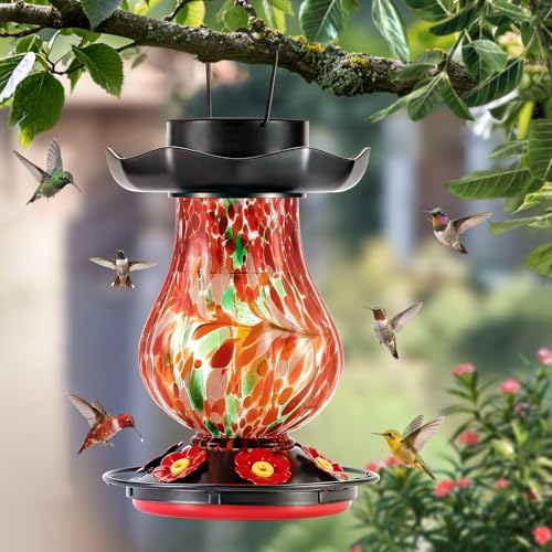 Solar Hummingbird Feeder for Outdoor