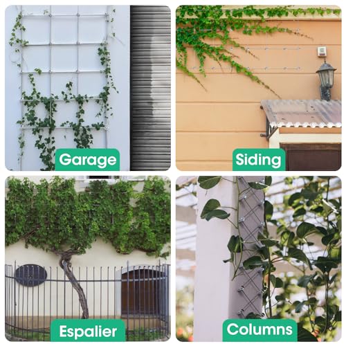 Wire Trellis Kit for Climbing Plants Outdoor 20 Set Wall Mounted Trellis with 98Ft 1 (20 Count)