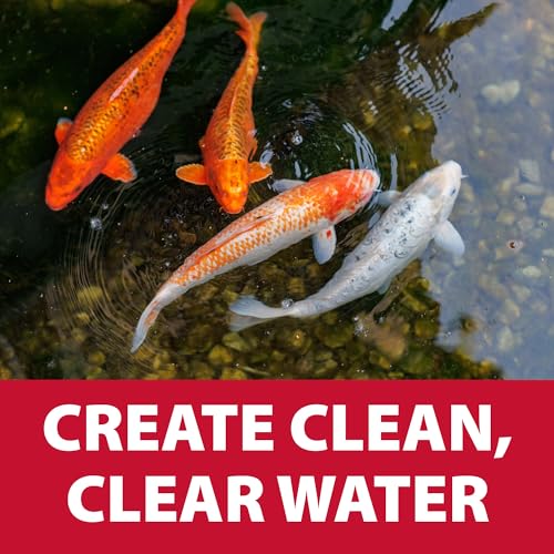 AllClear 8000 G3 & SolidFlo 3600 Pump Combo System (AllClear 8000 G3 & SolidFlo 3600)