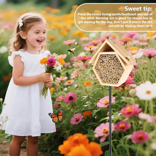 Mason Bee House for Garden