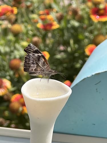 3 Pack Bee Watering Station (3 Count)