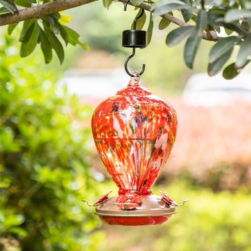 2 Packs Hummingbird Feeder for Outdoors Hanging Ant and Bee Proof (2 Count)
