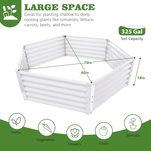 Anleolife 14 Bed Round (14 Count)