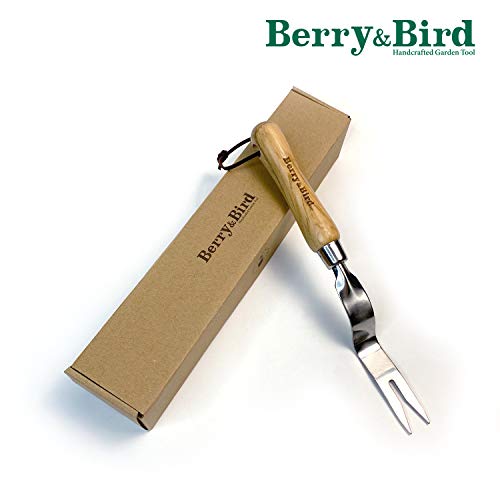 Hand Weeder Tool