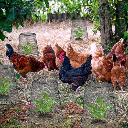 10 Pack 9.13"×9.13" Chicken Wire Cloche Plant Covers (20 Count)