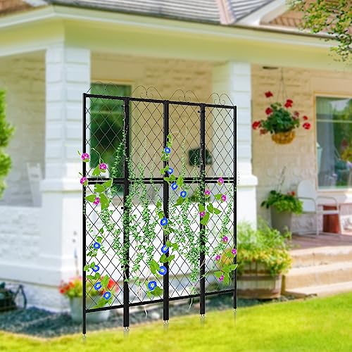 2 Pack Metal Garden Trellises for Climbing Plants