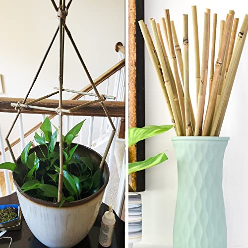 0.32”-0.4"/18Inch Garden Stakes, Natural Bamboo Sticks Plant Stakes for Indoor and Outdoor Plants,Poles for Tomatoes, Beans, Potted Plants(50Pcs)… (50 Count)