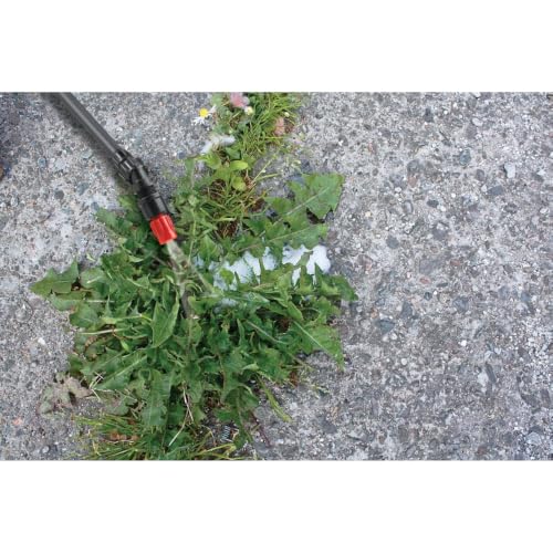 430-2G 2-Gallon Handheld Sprayer with Viton® Seals in Key Locations (256 Fl Oz)
