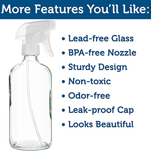 Large Clear Glass Spray Bottles (2 Count)