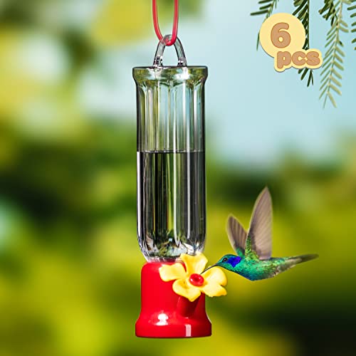 Set of 6 Mini Hummingbird Feeders with Hanging Wires