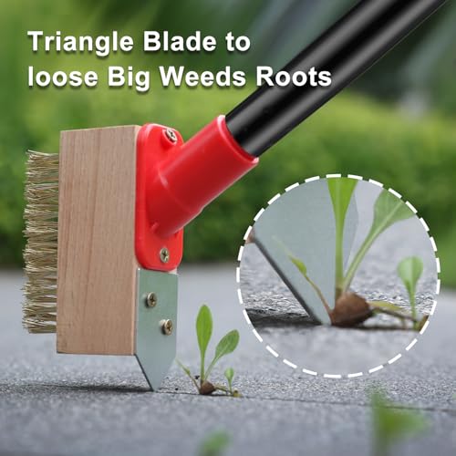 Weed Moss Remover Brush Tool 53'' Long Handle for Roof Paver Deck