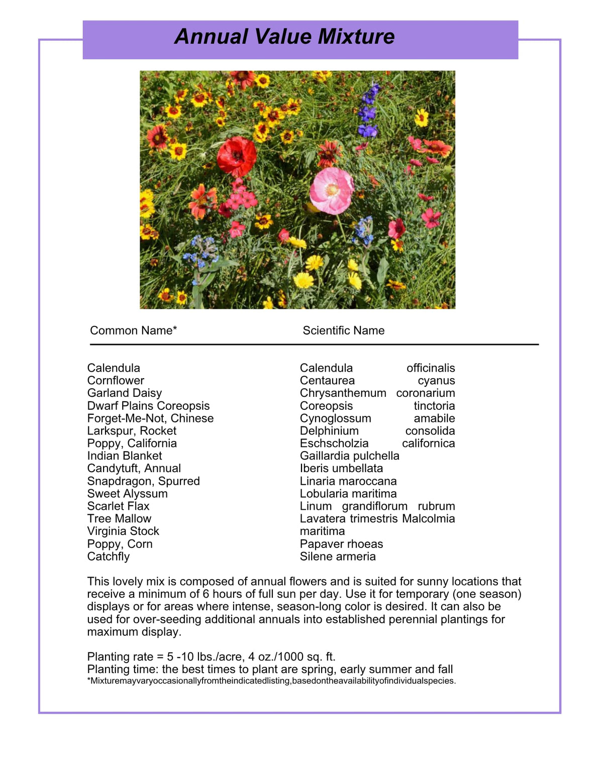 Wildflower Seed Shaker