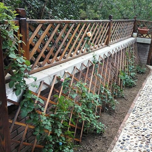 2Pcs Expandable Garden Trellis (2 Count)