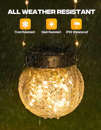 Solar Lights Outdoor Waterproof 12 (12 Count)