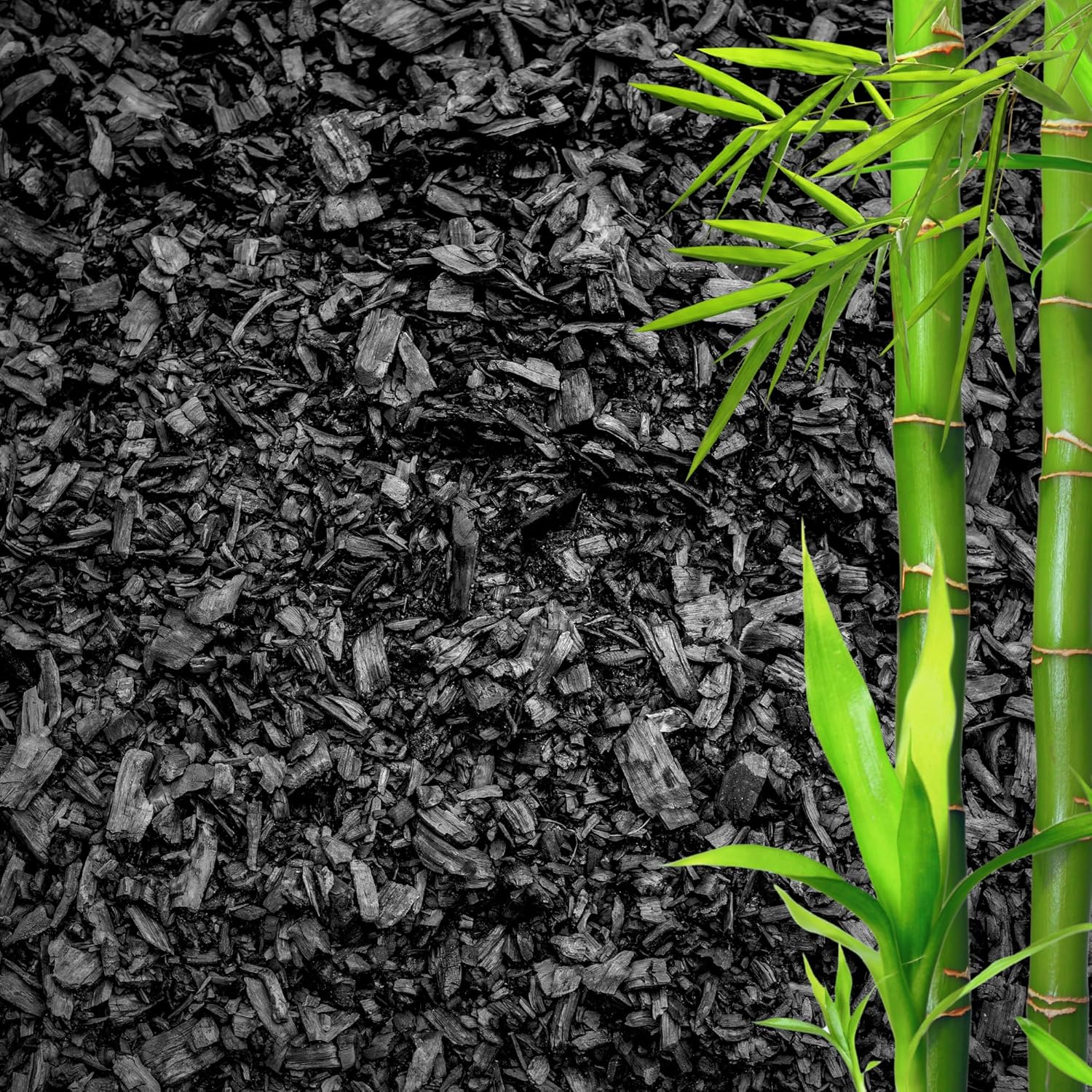 Gardening & Lawn Care