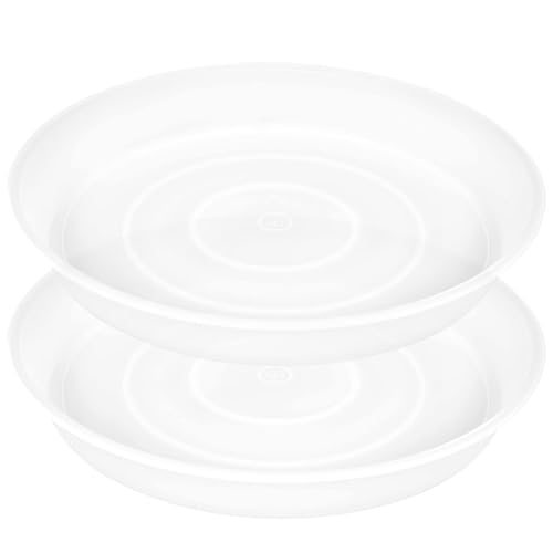 2 Pack of 12 inch Plant Saucer