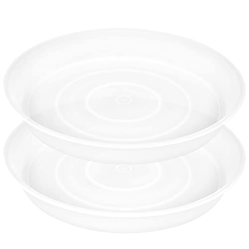 2 Pack of 8 inch Plant Saucer Clear (8" (2 pack) / Clear)