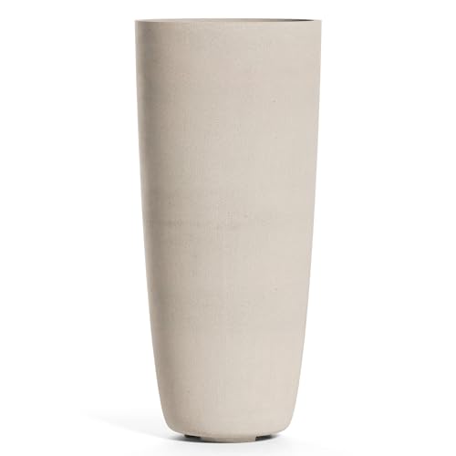 Lofto Tall Indoor