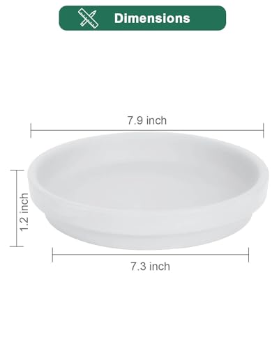 8 Inch White Terracotta Plant Saucer Pots Tray