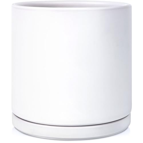 12 Inches Ceramic Planter Pot