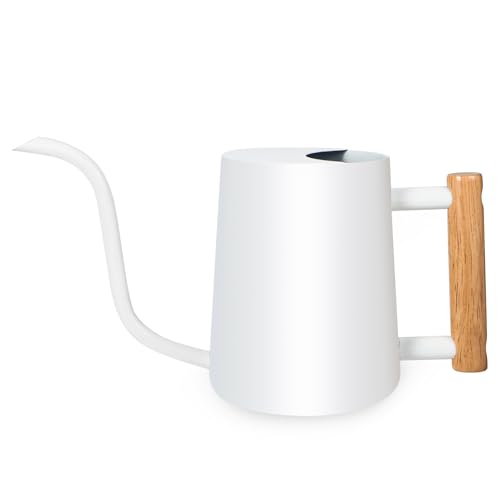 Watering Can Indoor Plants