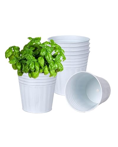 6 Inch White Metal Rustic Flower Pots (6 Count)