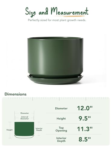 12 Inch Pots for Plants (Forest Green / 12")