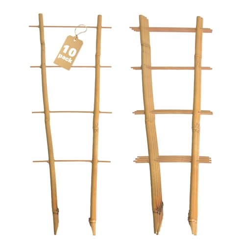 Bamboo Trellis 10 Pack (16in Ladder Shaped, Pack of 10)