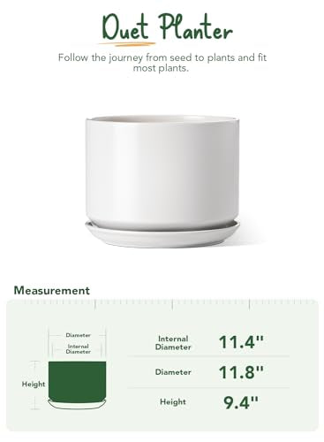 12 Inch Pots for Plants (White / 12")