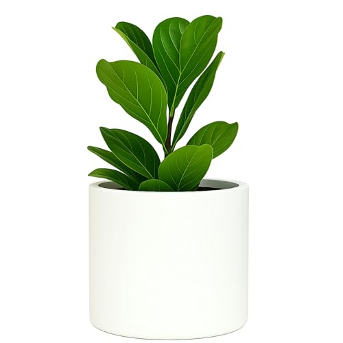 Large Planter for Indoor or Outdoor (Matte White / 8 Inch)