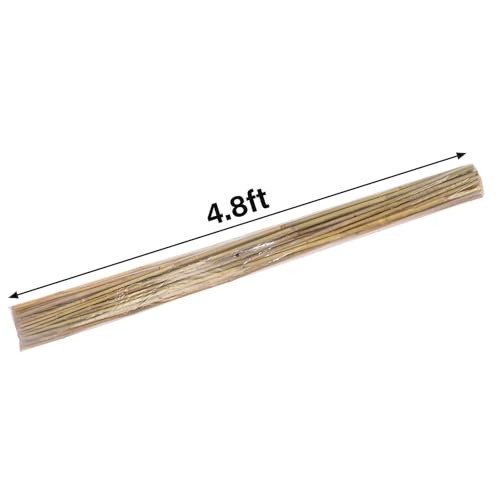 Natural Bamboo Plant Stake（Approx 5FT 30Pcs） Sturdy Bamboo Poles (4.8ft-30PCS)