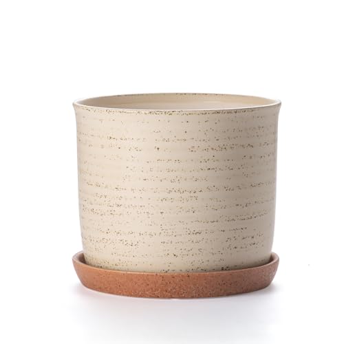 8 Inch Ceramic Plant Pot with Drainage Hole & Separate Saucer (Brush Color / 8 inch)