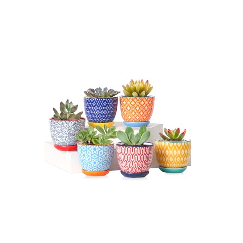 Ceramic 2.4 Inch Succulent Pots (Assorted Colors / 2.4 Inch, Set of 6)