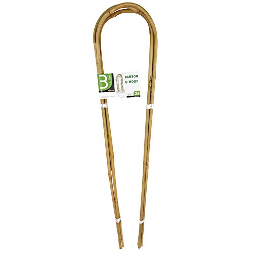 3 Feet Natural U (3 Feet)