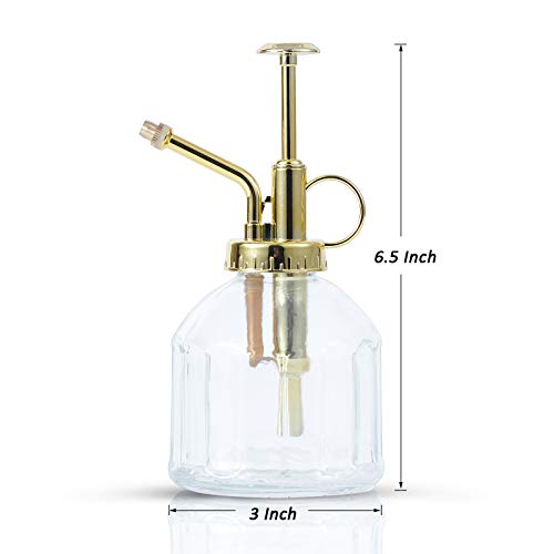 Glass Plant Mister Spray Bottle