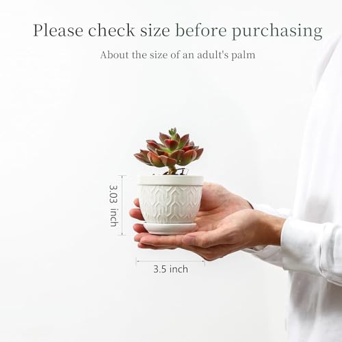 Sureasy Succulent Pots (4 Count)