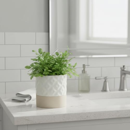 Self Watering Ceramic Plant Pot (Matte White & Brown Star / 4.5" Self Watering)